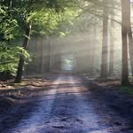 Alexander Webster - @conscientious_souls - Instagram