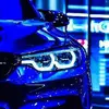 alexanderwert972 - @alexanderwert972 - TikTok