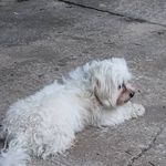 alexander westphal - @alex_west_56 - Instagram