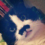 Pierre Alexander Whitman - @p.a_whitman - Instagram