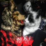 Alexander Wolfe - Facebook