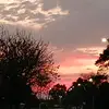 alexandraamaro47 - @gabrielaciapesson - TikTok