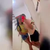 alexandrabone32 - @alexandrabone32 - TikTok