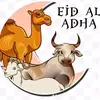 PP IDUL ADHA - @brian.alexandra2 - TikTok