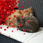 Alexandra Burkhardt - @rocklady1977 - Instagram
