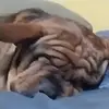 alexandra cason - @alexandra.cason0 - TikTok