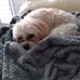 Alexandra Coles - Facebook