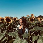 Alexandria Dickerson - @alex.inthecompanyofbees - Instagram