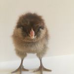 Lynn Dougherty - @lynnalexandradougherty - Instagram