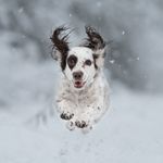 Alexandra Frances Photography - @alexandrafrancesphotography - Instagram