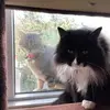 Alexandra Gale - @alexandragale13 - TikTok