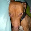 Alexandra Henderson - @alexandra.henders - TikTok