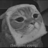 YEONTAN KIM590 - @alexandrah_su - TikTok