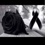 Alexandra Ionescu - Facebook