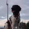 alexandrakamp719 - @alexandrakamp719 - TikTok