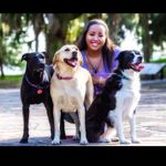 Alexandra Keith - @stpete_doggos - Instagram