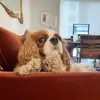 alexandrakoster - @alexandrakoster - TikTok