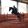 Alex - @alexandrakunz4 - TikTok