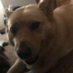 Alexandra Larson - @honey_bear576 - Instagram