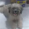 alex - @alexandralayague - TikTok