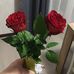Alexandra Lea Schmitt - Facebook