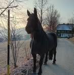 Alexandra Leitner - Facebook