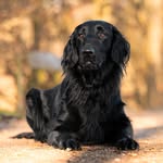 Alexandra Leitner - @alexandra_leitner_01 - Instagram
