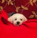 Alexandra Leonardo - Facebook