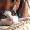 Alexandra Li - @alexandrali62 - TikTok