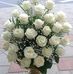Alexandra Marcu - Facebook