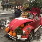 Alexandra Marcu - @alexandra_marcu_translator - Instagram