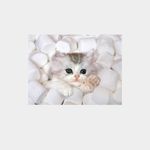 makaela alexandra mather - @the_soccer_kitten - Instagram
