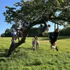 alexandra¹⁶ - @alexandra.mccready - TikTok