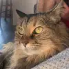 alexandramcintosh7 - @alexandramcintosh7 - TikTok