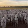 alexandramelnik0 - @alexandramelnik0 - TikTok