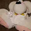 AlexandraMelnik - @alexandera890 - TikTok