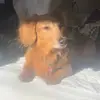 miaalexandra003 - @miaalexandra003 - TikTok