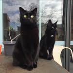 Alexandra Millar - @alexmillar - Instagram
