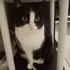 Alexandra Parent - @alexandra.parent7 - TikTok