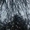 alexandraparent_ - @_guesswhowearemn_ - TikTok