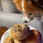 Alexandra Press - @half.baked.baking - Instagram