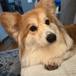 Alexandra Read - @alexandragravinaread - Instagram