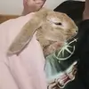 Rusty_Alexa - @rusty_alexandra - TikTok