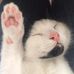 Alexandra Schaffer - Facebook