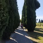 Alexandra Schafferer - @schaffereralexandra - Instagram