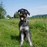 Alexandra Schnur - @pacco2411 - Instagram