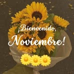 Alexandra Sa - Facebook