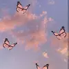 alexandrasquires67 - @alexandrasquires67 - TikTok