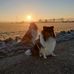 Alexandra Staats - Facebook