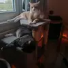 alexandrastaat - @alexandrastaat - TikTok